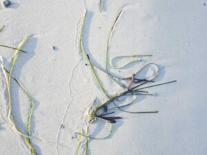 Kreativer Strandschriftsatz