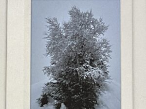 Schneebaum Dekoration für Weihnachten aus Graubünden