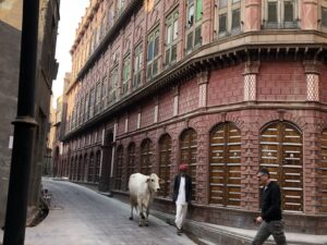 Begegnungen an der Kreuzung Indien