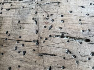 Universität Freiburg Hörsaal 1040 Tisch