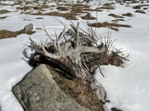Holzfigur im Schnee