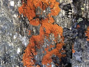 Farbkompositionen auf Granit