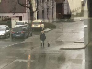 Hundstage in Böblingen - Regenjacke