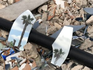 Serie Gespiegelte Palmen