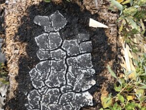 Brandspuren Morro Jable