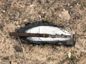 Auster mit rostigem Eisenstab