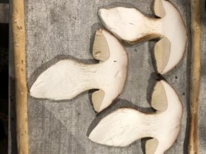 "Steinpilz im Holzrahmen - Fundort: St. Peter, Schwarzw