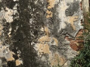 Altes Gemäuer Kroatien