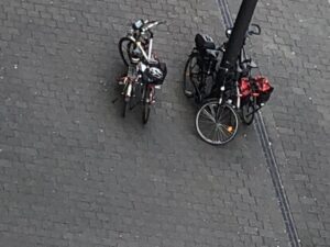 Senkrechtbild von Fahrrädern, die am Baum befestigt sind